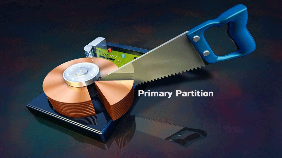 Primary Partition چیست؟