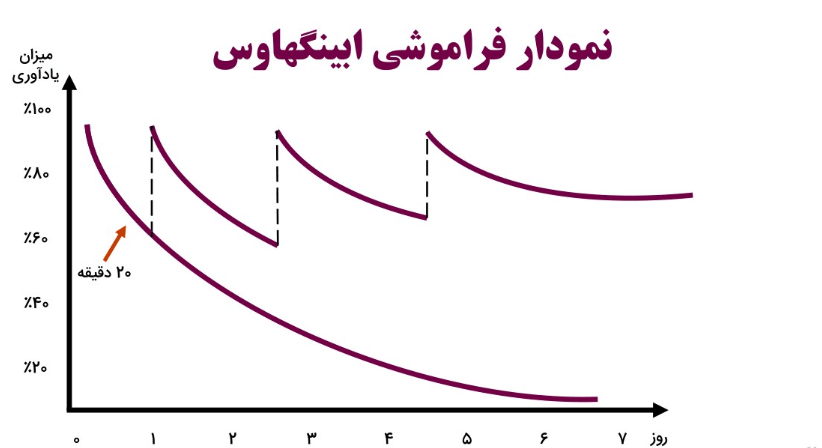 نمودار فراموشی ابینگهاوس : چطوری یادگیرنده حرفه‌ای باشیم؟