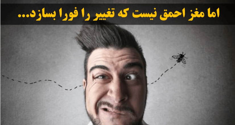 فرآیند ساخت تغییر در مغز