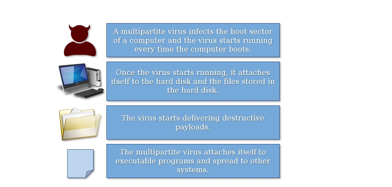 ویروس چند وجهی یا Multipartite virus