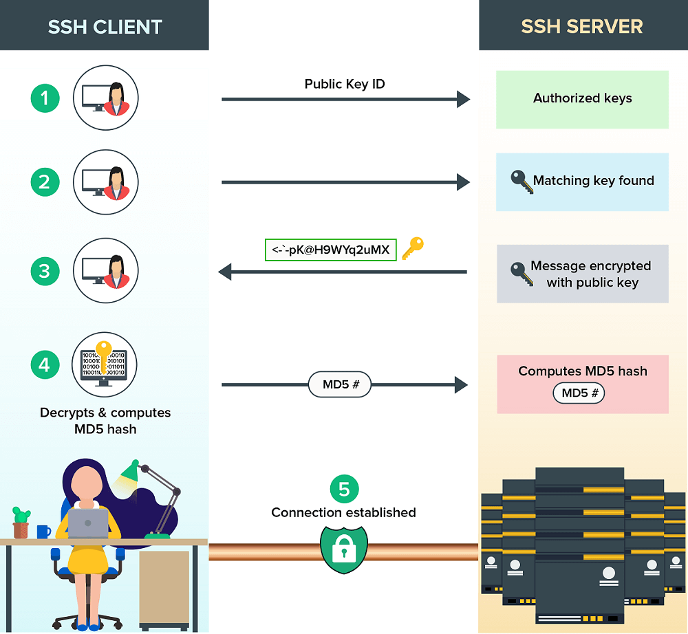SSH چیست